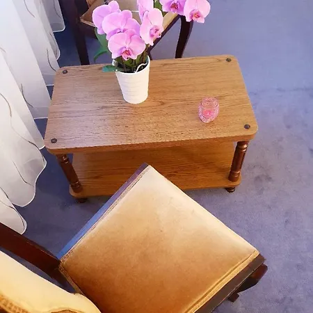 Διαμέρισμα Thomas *